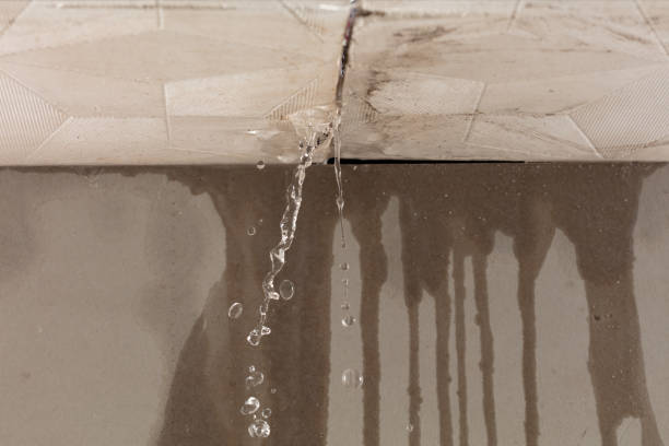 Professional Burst Pipe Cleanup technician working in Josephine, TX